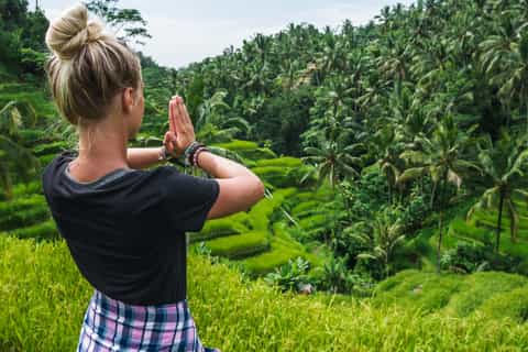 Ubud: Waterfall, Rice Terraces & Monkey Forest Private Tour