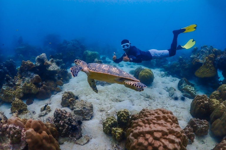 Von ฺBKK:Nemo Island Experience+Lunch im Seaside RestaurantAbholung an Hotels in Bangkok