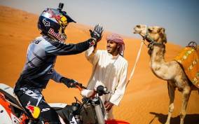 From Douz: Camel and Quad Bike Tour With Transfer