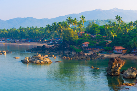 Von Panaji: Geführte Sightseeing-Tour durch Nord-Goa