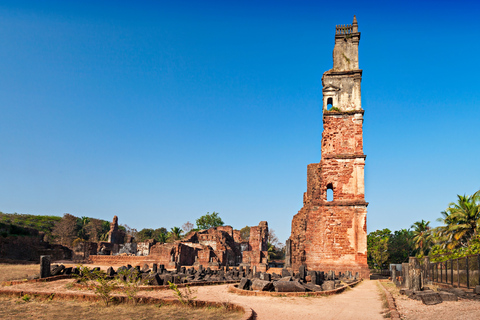 Von Panaji: Geführte Sightseeing-Tour durch Nord-Goa