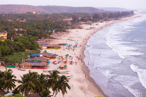 Von Panaji: Geführte Sightseeing-Tour durch Nord-Goa