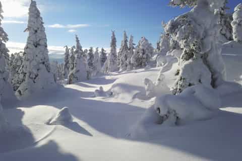 pudasjärvi excursion en raquettes et crêpes dans le parc national de syöte