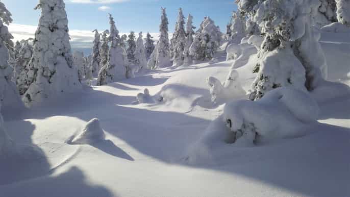 pudasjärvi excursion en raquettes et crêpes dans le parc national de syöte
