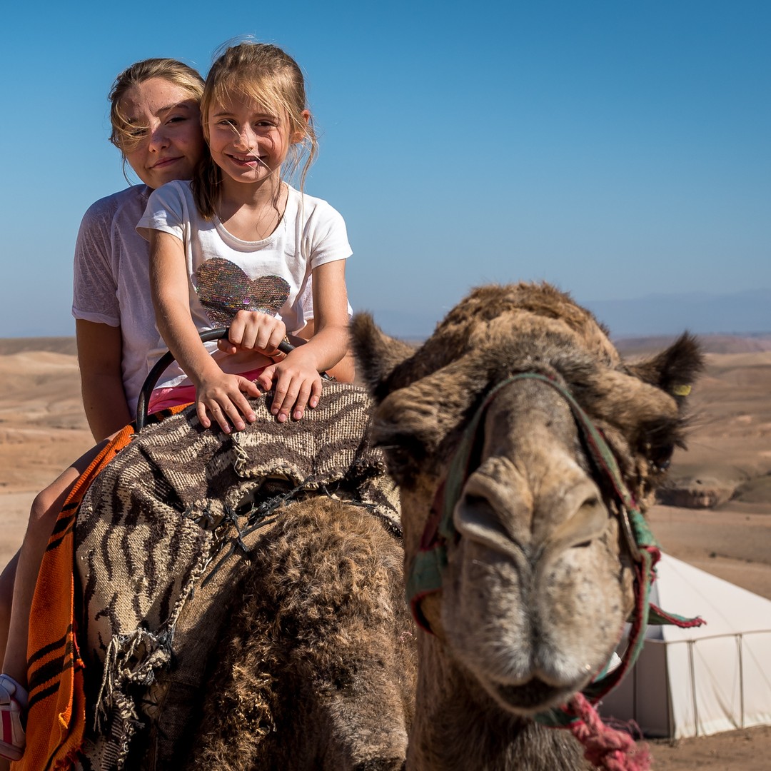 Au départ de Marrakech : Expérience VIP dans le désert et l'oasis d'Agafay à dos de chameau - dromadaire