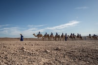 De Marrakech, VIP Agafay Desert & Oasis Camel Experience - Hizvo