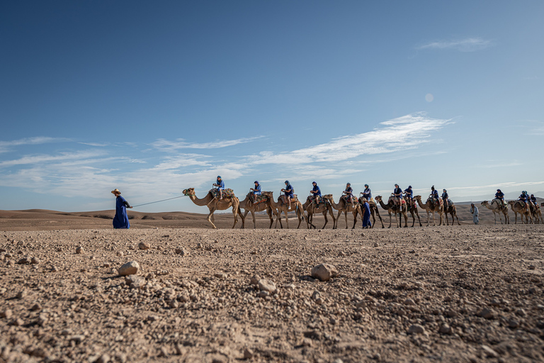 Marrakech: experiencia de camello en el desierto de Agafay y Oasis con meriendaTour con recogida y regreso al hotel / Riad