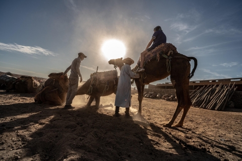 Marrakesch: Agafay-Wüste & Oase - Kamelritt mit SnackTour mit Abholung und Rücktransfer an Ihrem Hotel / Riad