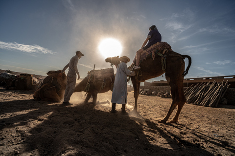 Marrakech : désert d'Agafay, oasis, chameau et en-casVisite avec prise en charge aller-retour à votre hôtel/riad