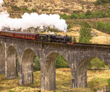 Da Inverness: Treno a vapore giacobita e tour delle Highlands