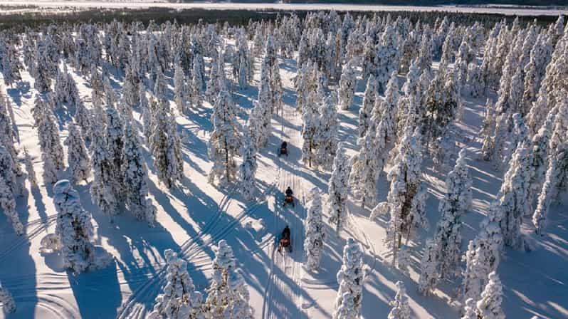 Rovaniemi: Arctic Circle Family-Friendly Snowmobile Tour | GetYourGuide