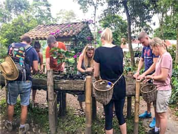 Kaffeefarm-Tour zur Finca El Ocaso ab Salento mit Abholung