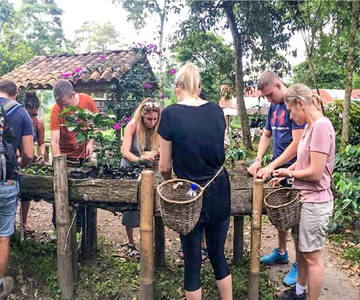 Coffee Farm Tour at Finca El Ocaso from Salento