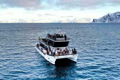 Tromsø : sortie d’observation des baleines en catamaran