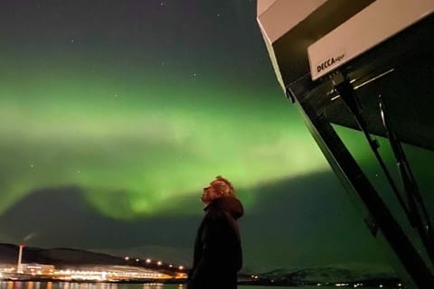 Tromsø: crociera con cena e aurora su catamarano ibrido
