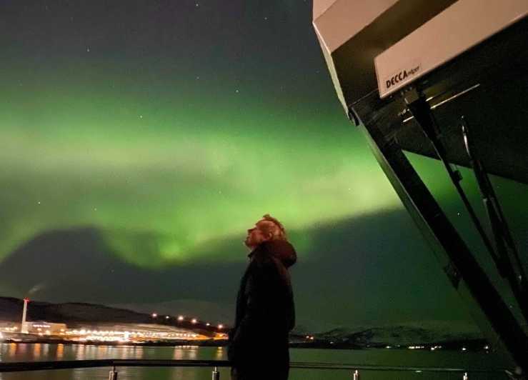 Tromsø: crociera con cena e aurora su catamarano ibrido
