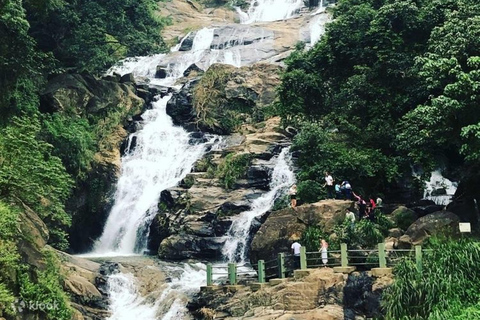 Au départ de - Induruwa / Maha Induruwa / Kosgoda Excursion d&#039;une journée à Ella