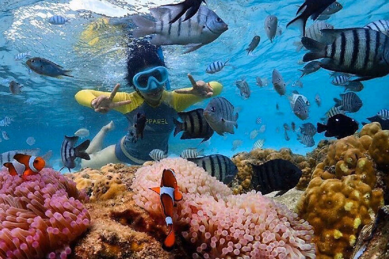 Bangkok: Escursione sull&#039;isola di Nemo con foto dal drone e pranzoPrelievo dagli hotel di Bangkok