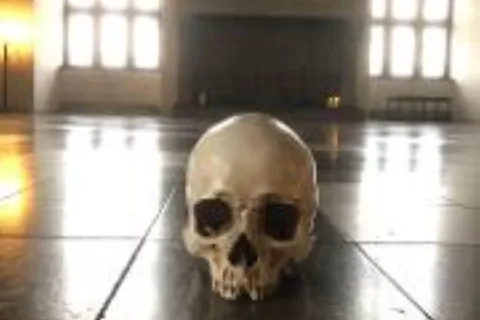 Rundtur i lätt tempo på Kronbog slott och Frederiksborgs slott W