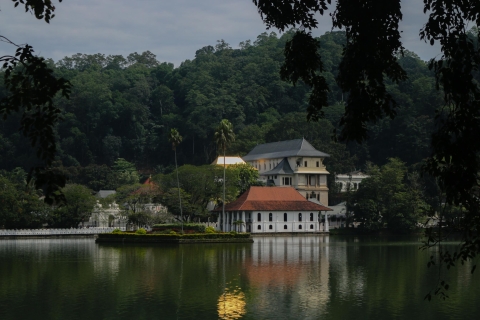 Colombo of Negombo: dagtrip naar de Tempel van de Tand Kandy