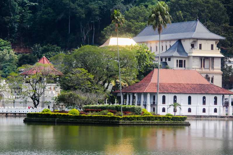 Colombo alebo Negombo: Chrám zubov Kandy Celodenný výlet