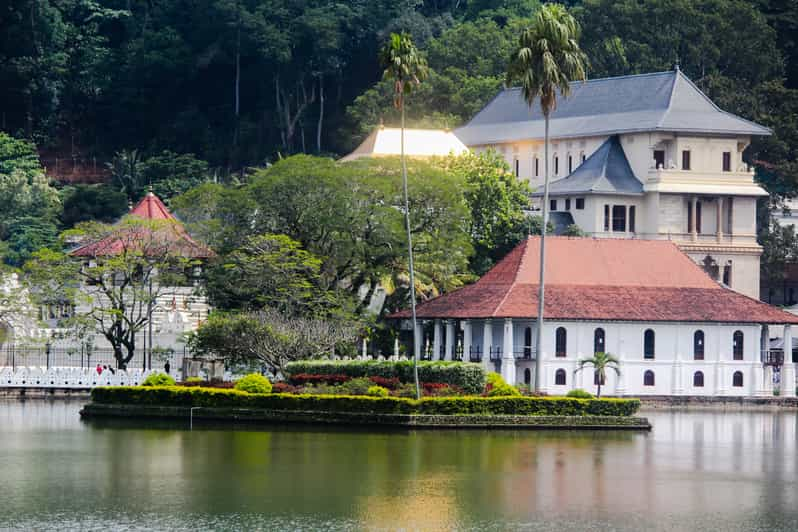 Colombo or Negombo: Temple of the Tooth Kandy Day Trip