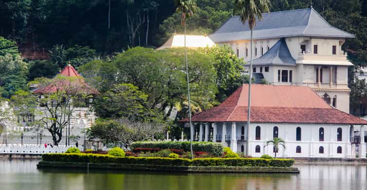 Königlicher Botanischer Garten Peradeniya, Kandy Tickets