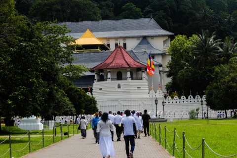 Colombo of Negombo: dagtrip naar de Tempel van de Tand Kandy