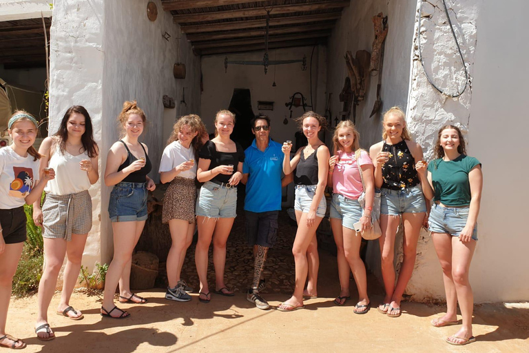 Albufeira: Half-Day Algarve Jeep Safari