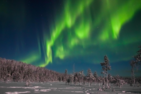 Rovaniemi: Aurora Boreal y PicnicRovaniemi: Aurora Boreal con picnic