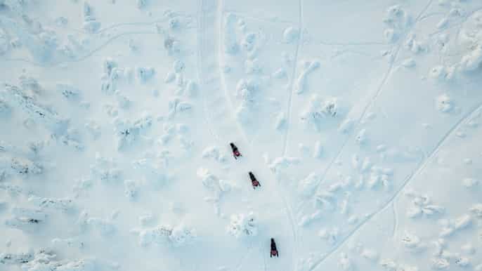 lapland fullday snowmobile safari into the wilderness