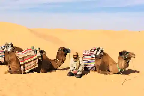 From Djerba: Full-Day Ksar Ghilane, Sahara and Oasis Tour