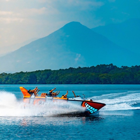 Visit Cairns 35-Minute Jet Boating Ride in Cairns, Australia