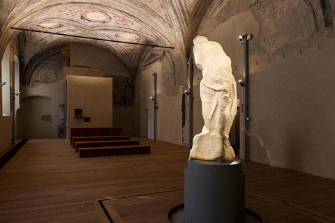 Guided Tour: Discover Sforza Castle and Michelangelo's Art