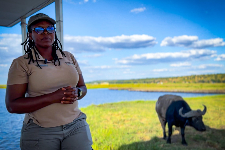 Desde las cataratas Victoria Excursión de un día a Chobe, Botsuana