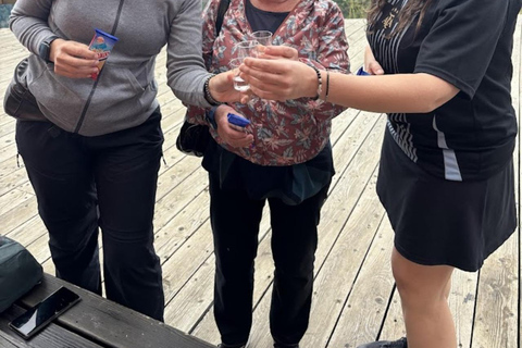 Bratislava: Zilina, Terchova & Vratna Valley Day Trip Tour without hotel pick up & drop off