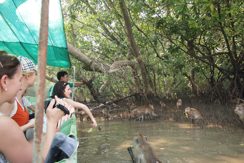 Bangkok: visite de Damnoen Saduak, Maeklong et Mangrove ForestBangkok: visite privée des marchés de Maeklong et Damnoen Saduak