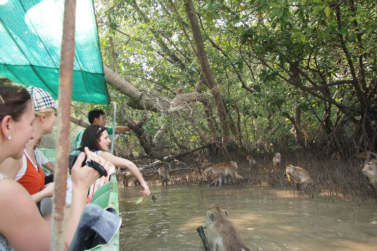 Bangkok: visite de Damnoen Saduak, Maeklong et Mangrove ForestBangkok: visite privée des marchés de Maeklong et Damnoen Saduak