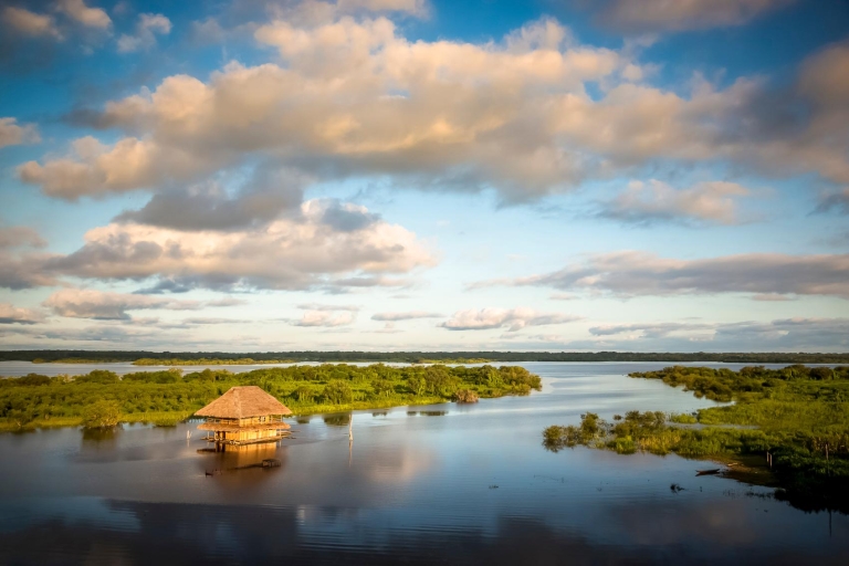 Manaus : croisière traditionnelle de 5 jours jusqu'à BelémHamac avec salle de bains commune