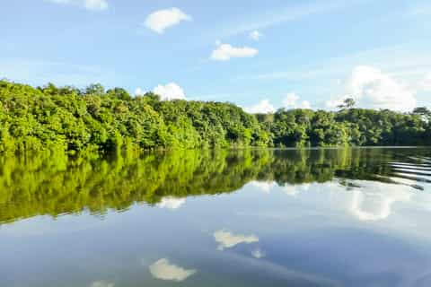 Amazon Jungle: 3 or 4-Day Tour at Juma River Guest Houses