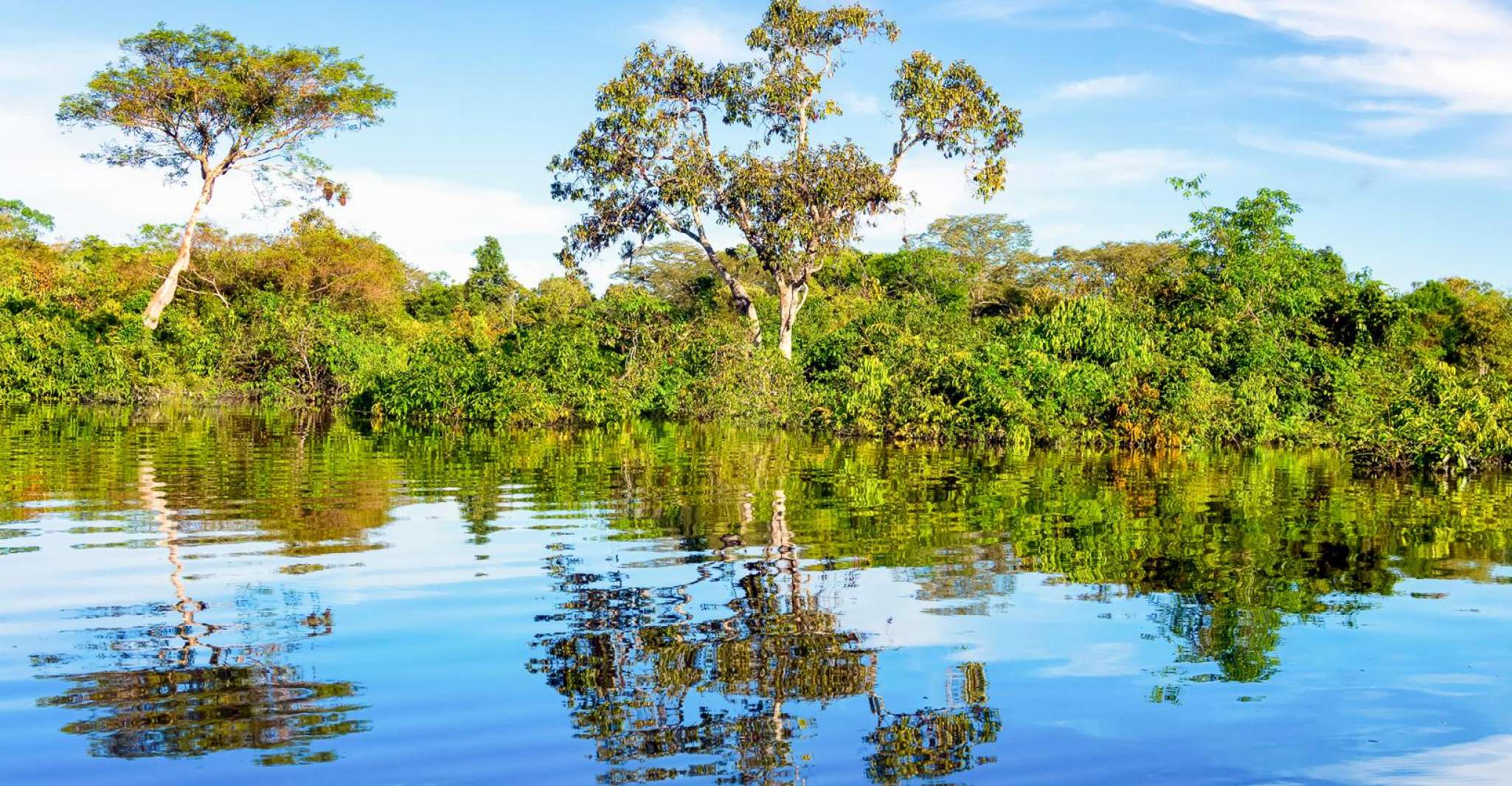 Manaus, Full-Day Tour on the Amazon River - Housity