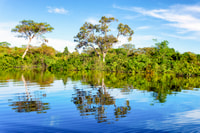 Манаус, тур на полном дне на реке Амазон - Housity