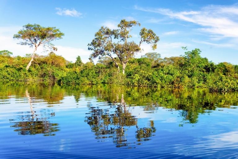 Manaus: Full-Day Tour on the Amazon River