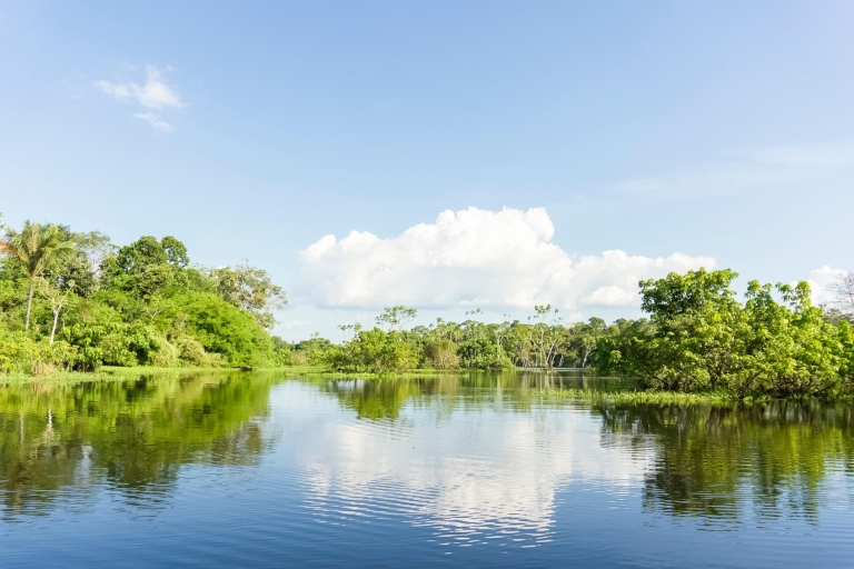 Manaus: Pagaie sur le fleuve Amazone