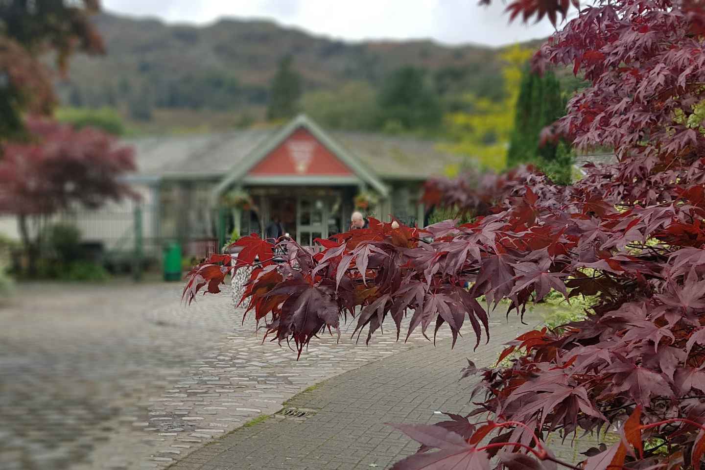 From Liverpool: Lake District Sightseeing Adventure Day Trip