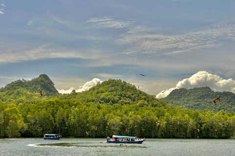 Langkawi: Kilim Geoforest Mangrove Tour with Fishing Trip Mangrove tour & Fishing 1-9 person