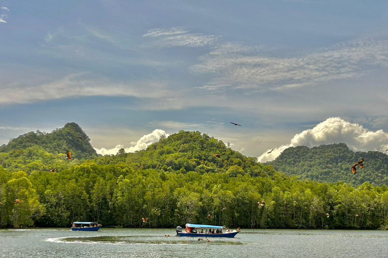 Langkawi: Kilim Geoforest Mangrove Tour with Fishing Trip Mangrove tour & Fishing 1-9 person