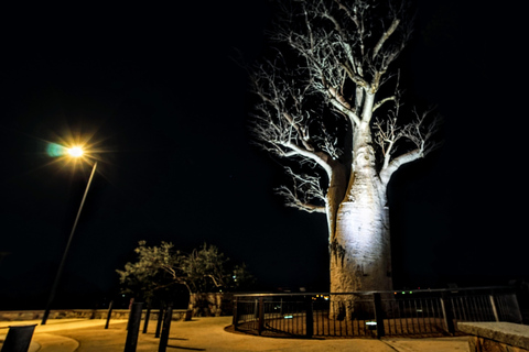 珀斯：城市灯光 Instagram 巴士观光（含甜点）珀斯：城市灯光 Instagram 巴士观光之旅（含甜点）