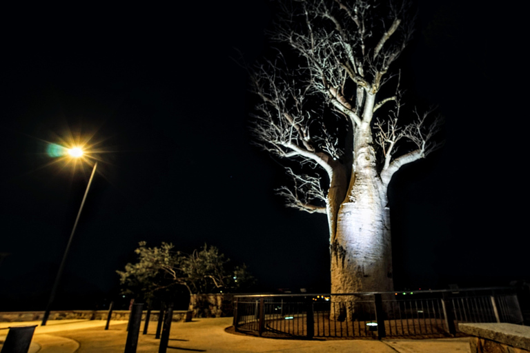 珀斯：城市灯光 Instagram 巴士观光（含甜点）珀斯：城市灯光 Instagram 巴士观光之旅（含甜点）