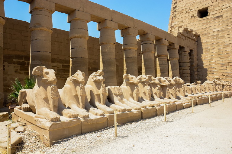 Makadi Bay: Luxor Private Tour Kings Valley och Hatshepsut.Privat resa utan biljetter och lunch